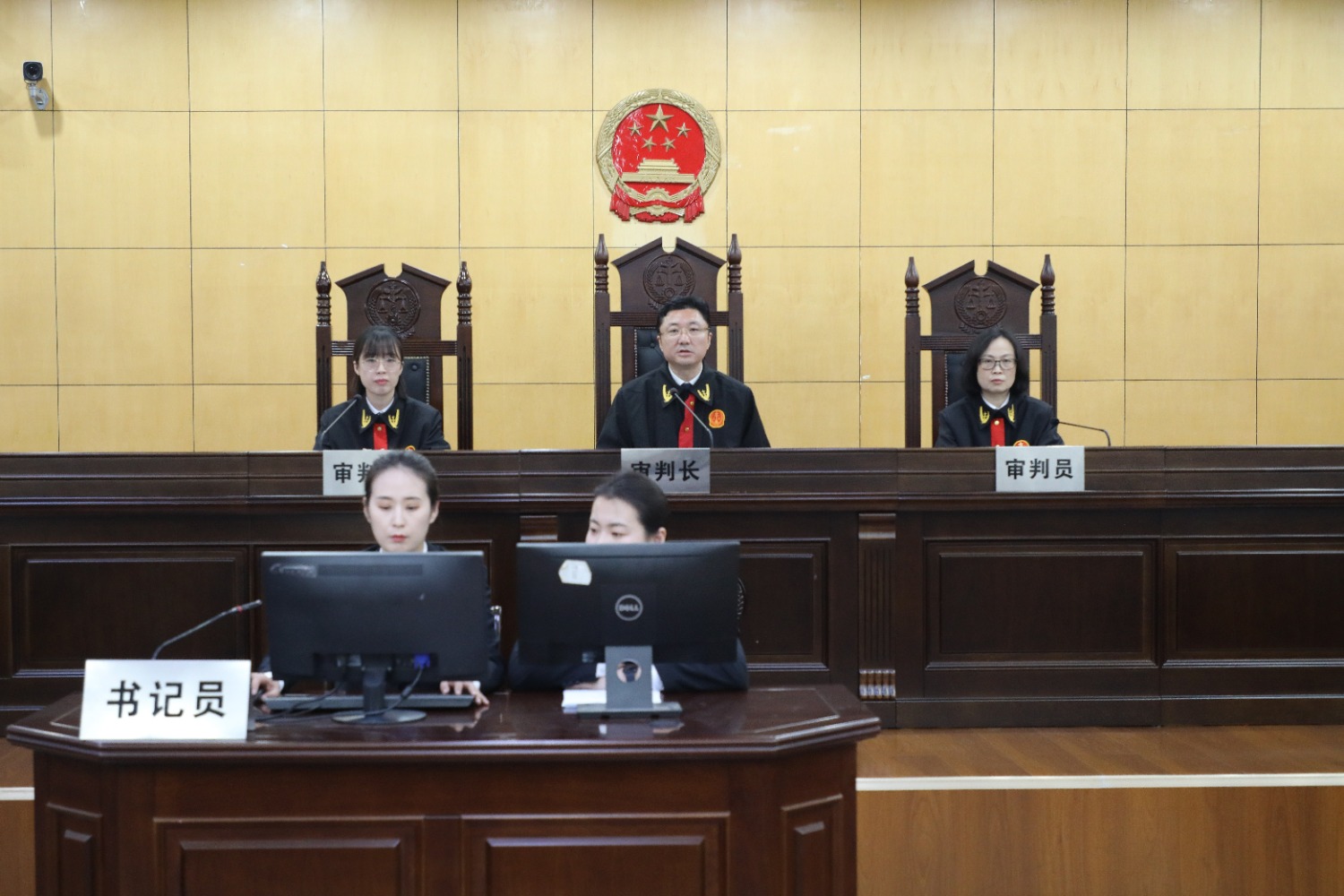 城阳法院:百人观摩行政案件庭审