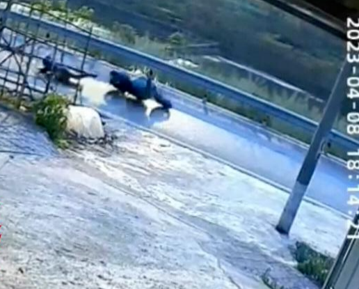 男子骑车下班被拦路光纤线割喉,当地警方已介入调查