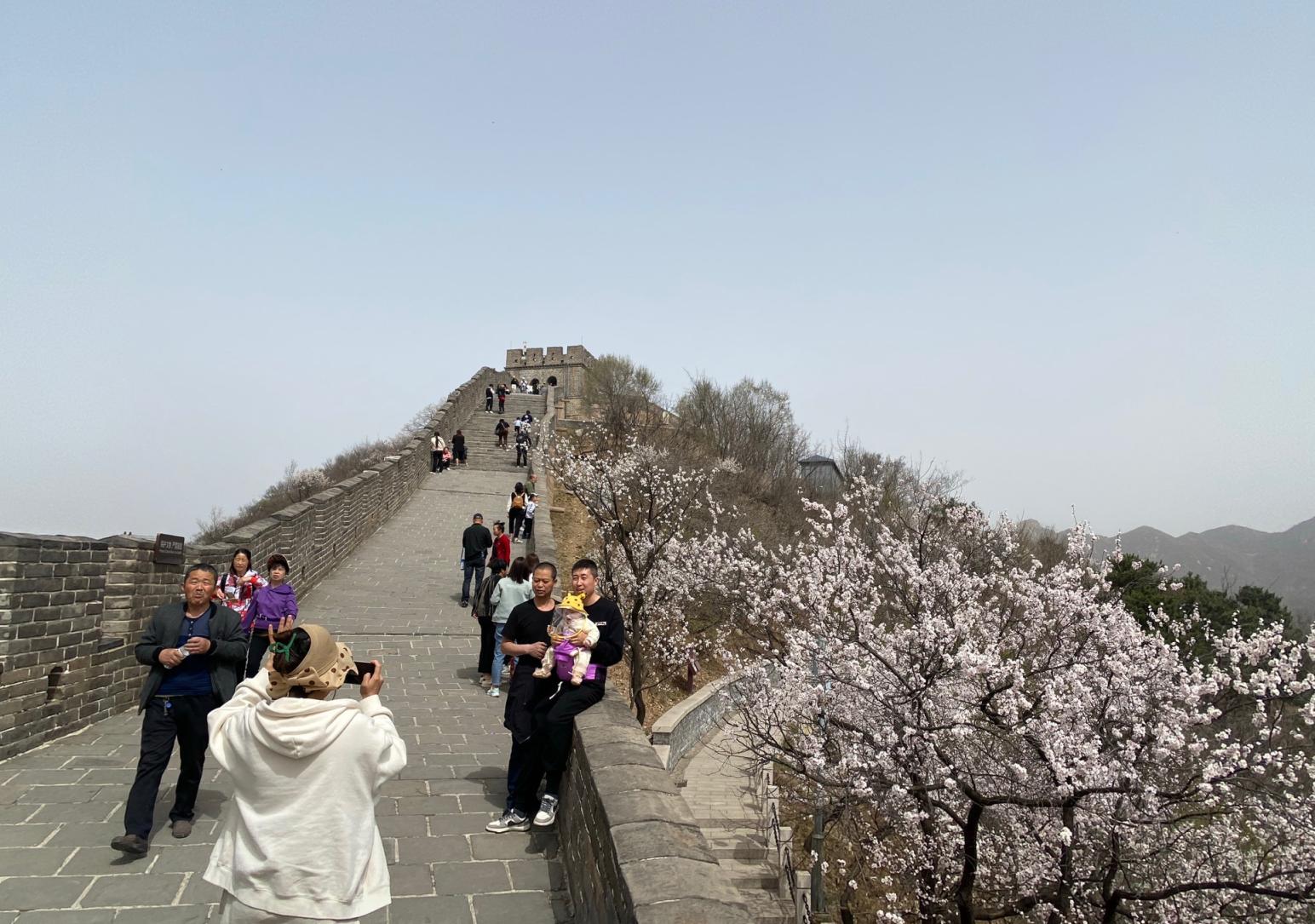 4月10日上午,八达岭长城上游客享受春日时光&nbsp;潘福达 摄