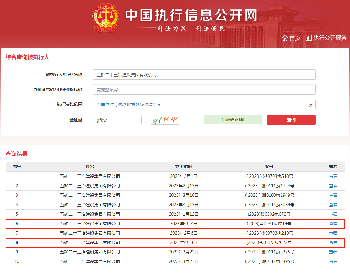 图源:中国执行信息公开网官网