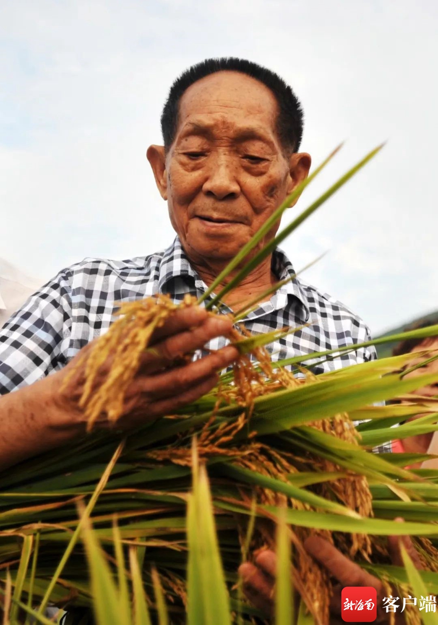 《南繁基地袁隆平组图》——拍摄于2020年.