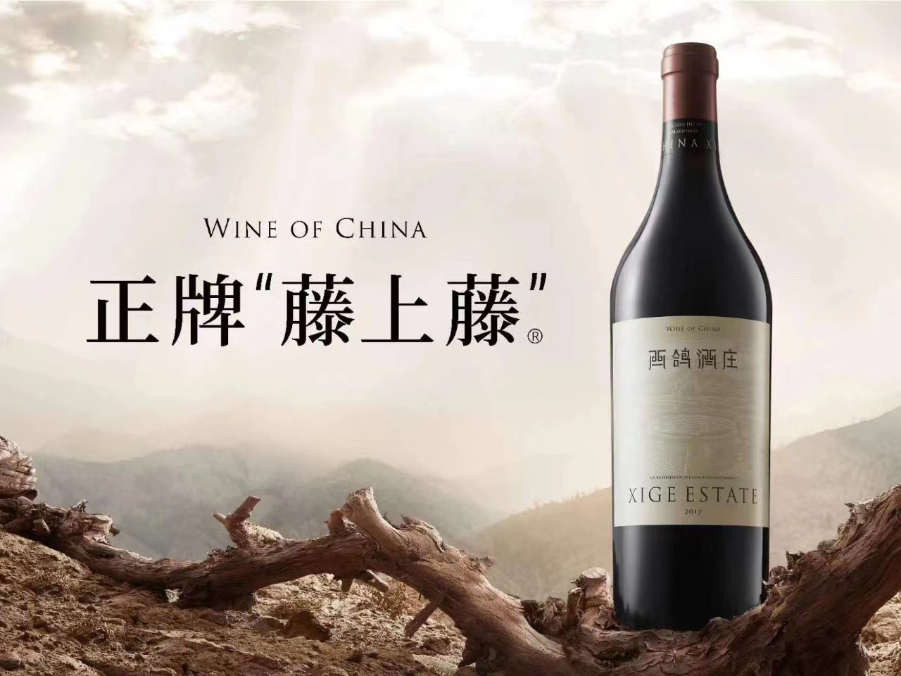 西鸽发布正牌"藤上藤":领塑中国精品葡萄酒"价值标杆"|葡萄酒_新浪