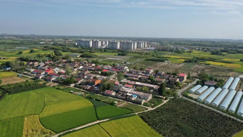 肥西县丰乐镇:美丽乡村入画来|安徽省_新浪财经_新浪网