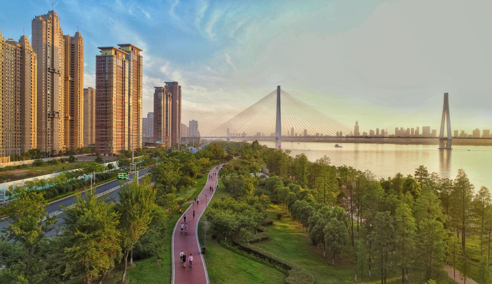 无人机航拍的青山的江滩.(青山区宣传部供图)