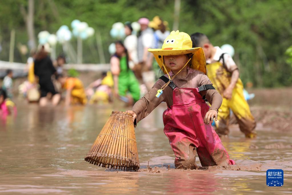 10日,四川省广安市武胜县东方红幼儿园的小朋友在龙女镇的稻田里抓鱼