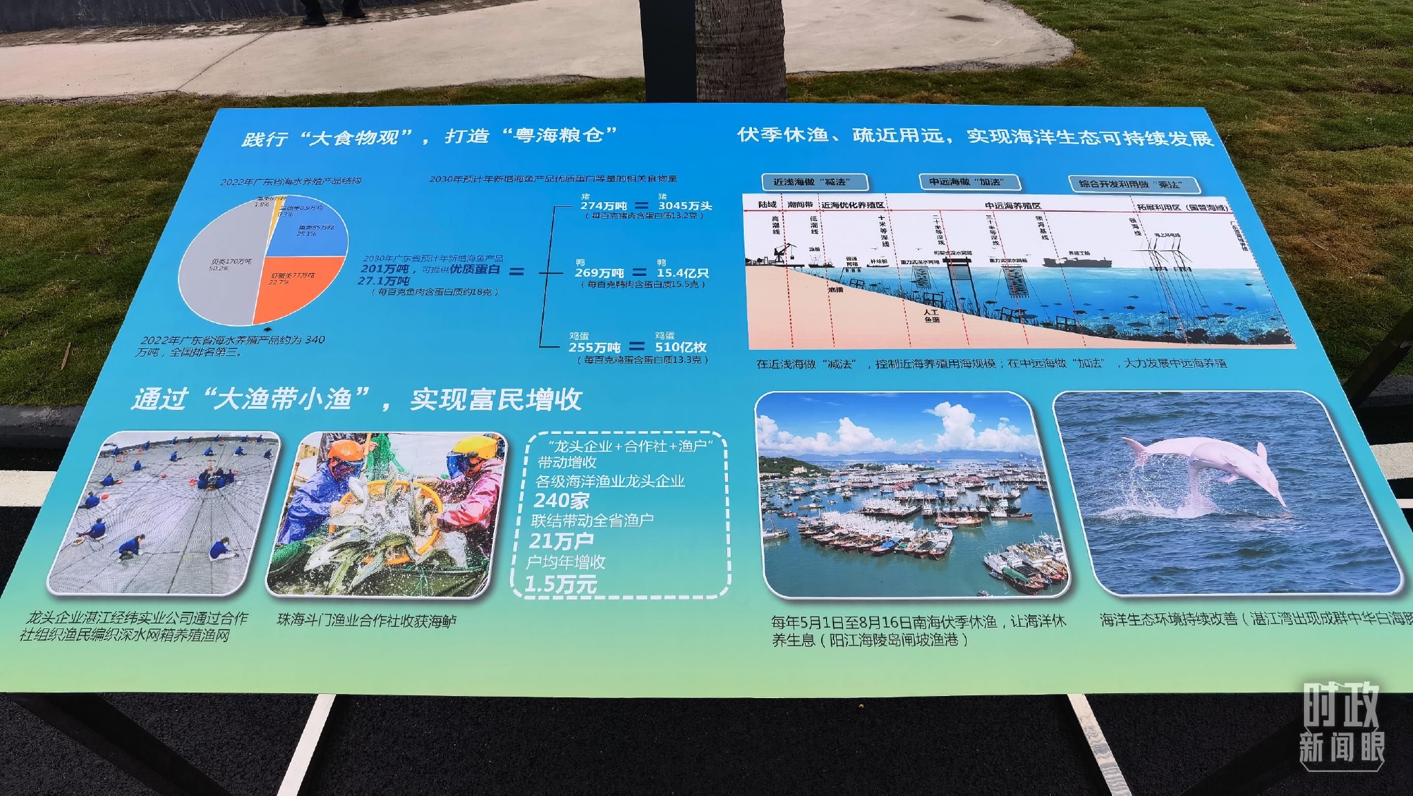 △当地践行“大食物观”，打造“粤海粮仓”。（总台央视记者石丞拍摄）