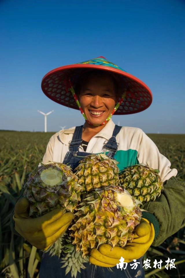 果农增产增收，喜气洋洋， 一张张丰收笑脸汇成最美的一片海。