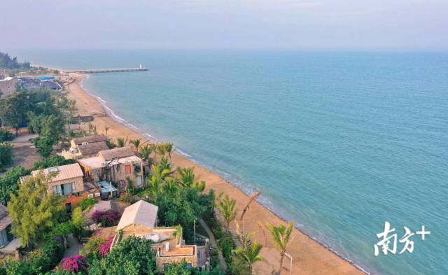 有着“南极村”之称的徐闻县放坡村。曾亮超 摄