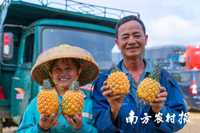 果农增产增收，喜气洋洋， 一张张丰收笑脸汇成最美的一片海。