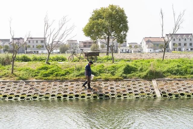 讲好示范村故事丨浦东远东村多元共治刷新乡村高颜值