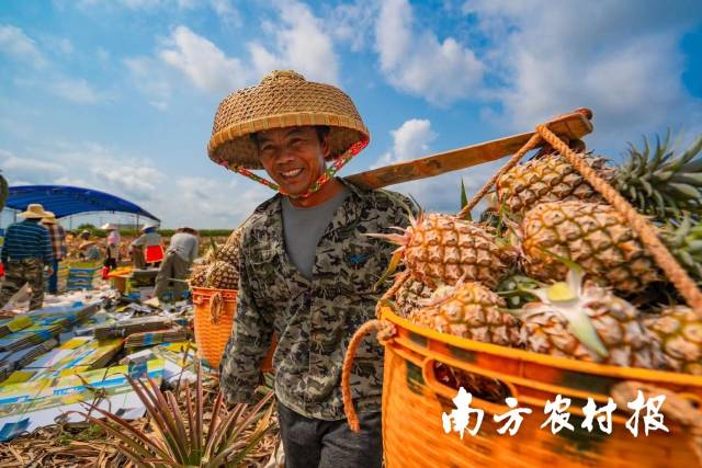 果农增产增收，喜气洋洋， 一张张丰收笑脸汇成最美的一片海。