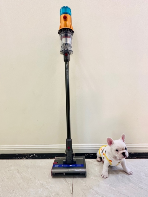 图为戴森V12 Detect Slim Nautik洗地吸尘器。出镜:蛋卷。