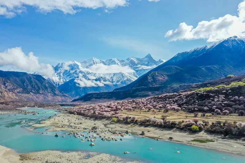 　　(来源：新视线)