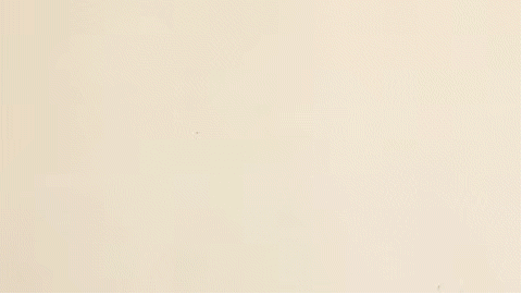 一小袋「坚果很纯臻」的全部内容，数给你看。