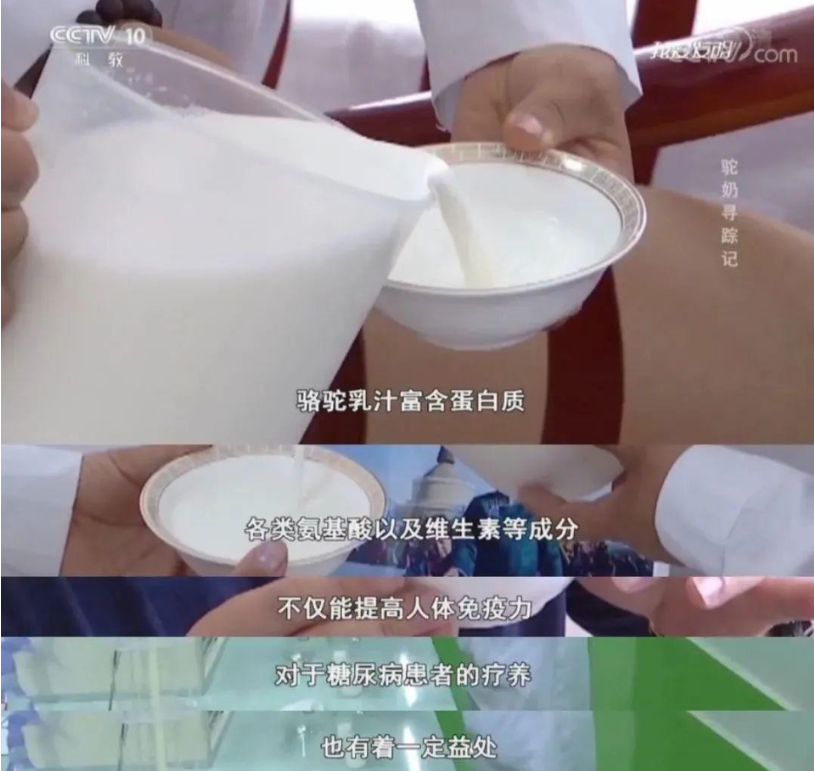 (一)、甘氨酸 (GLY)　　