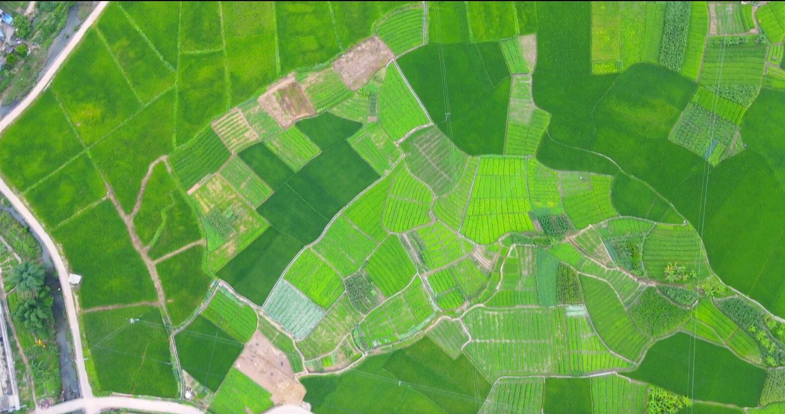 大隆镇那蓬村高标准农田建设建成后航拍图.韦彬摄