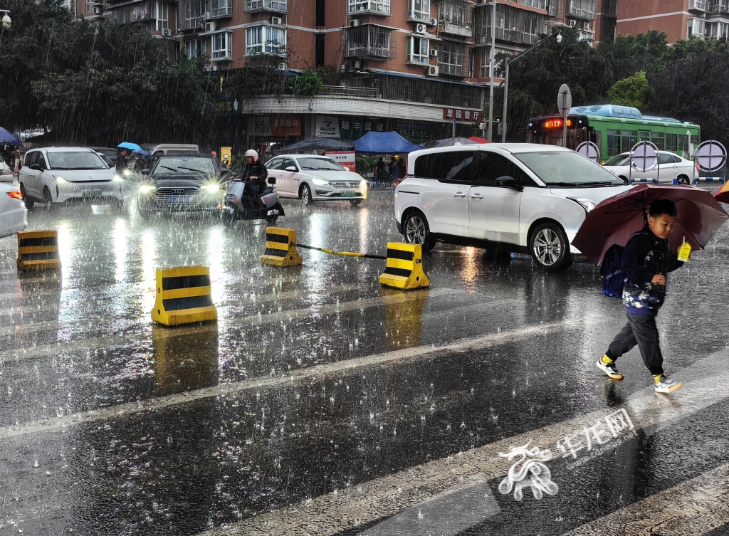 重庆入夏了吗?|阵雨_新浪财经_新浪网