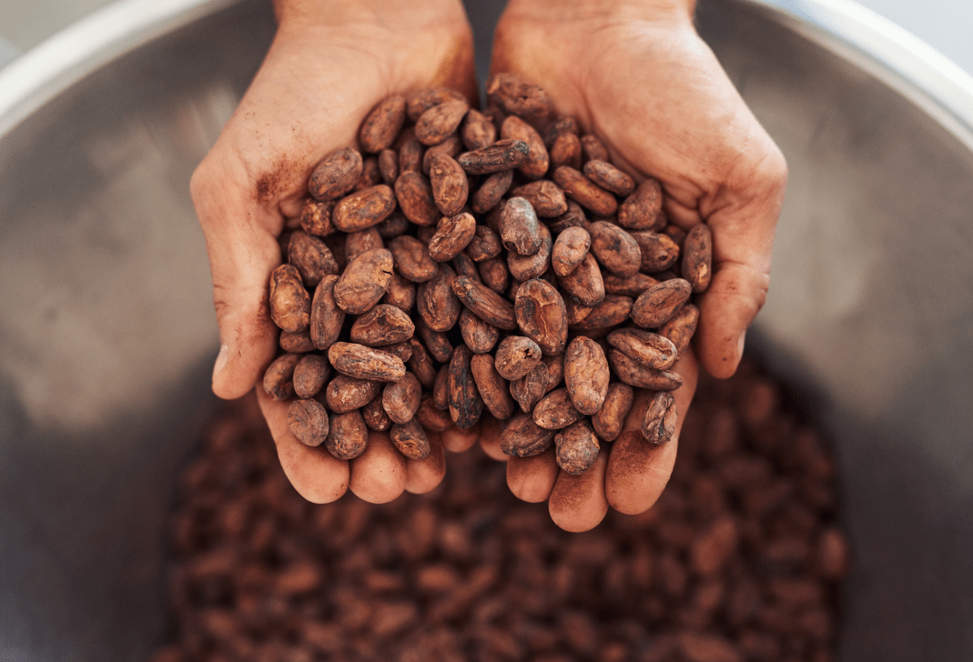 每日黑巧可可豆坚持公平贸易