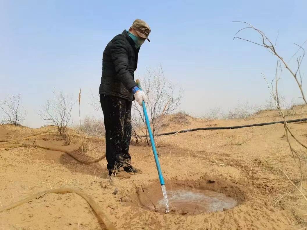2022“百万森林计划”公益项目种植沙漠锁边生态林-每日黑巧爱心林（图片来源：百万森林计划）