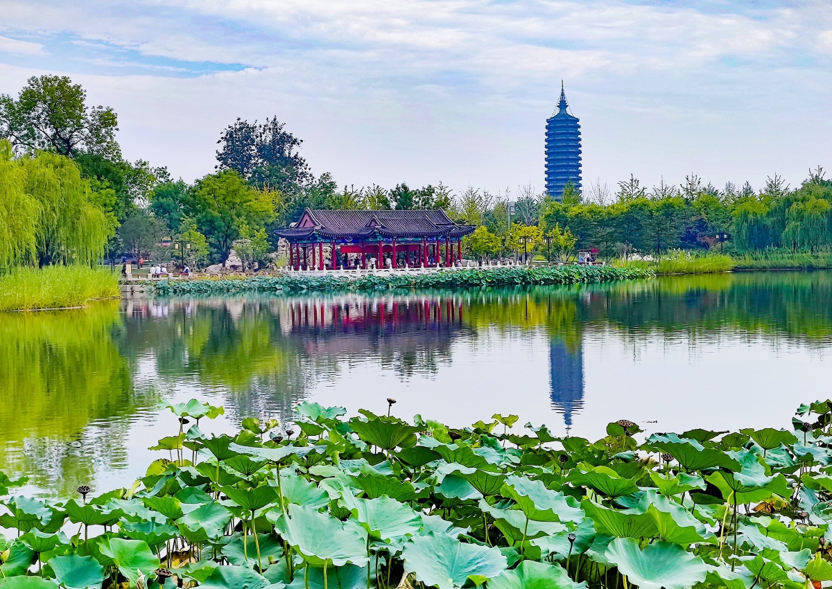 西海子公园,满池叠翠,水波粼粼,燃灯塔伫立远方,韵味满满.