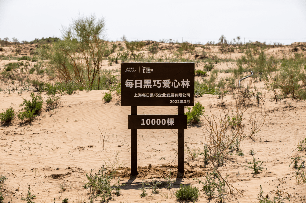 2022“百万森林计划”公益项目种植沙漠锁边生态林-每日黑巧爱心林（图片来源：百万森林计划）
