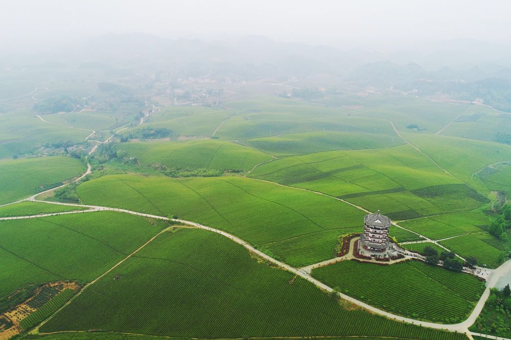 贵州省湄潭县永兴镇万亩茶海(无人机照片,2021年4月12日摄).