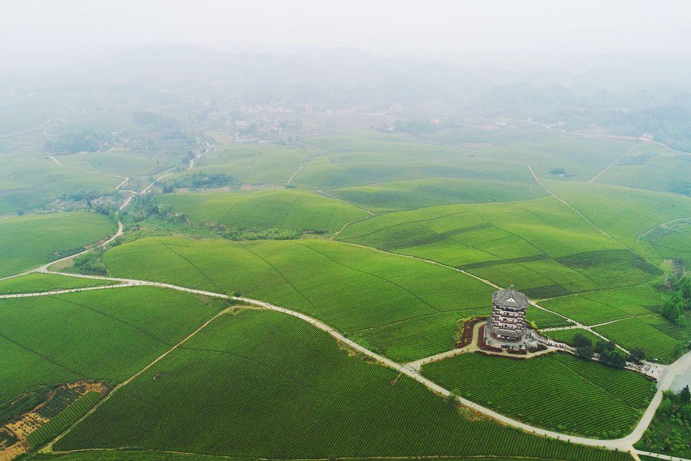 贵州省湄潭县永兴镇万亩茶海(无人机照片,2021年4月12日摄).