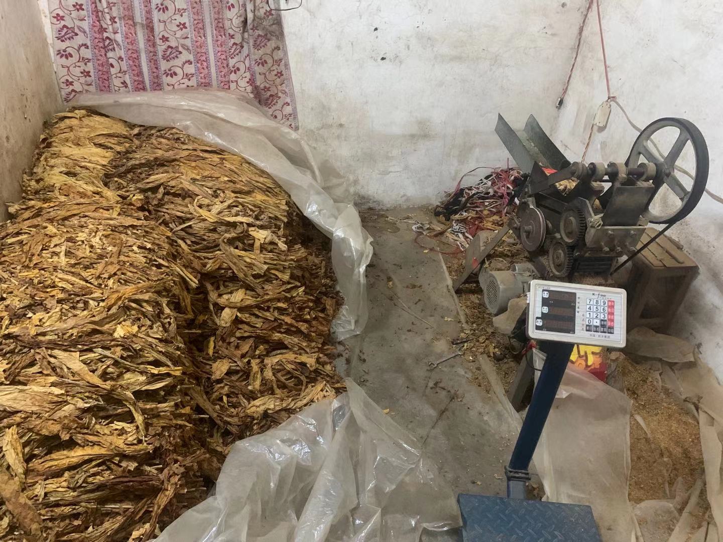 图为现场查获的非法拼装的电动切烟丝机(苏利宣 摄)