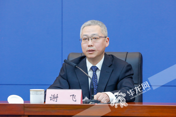 谢飞回答记者提问.华龙网-新重庆客户端记者 石涛 摄