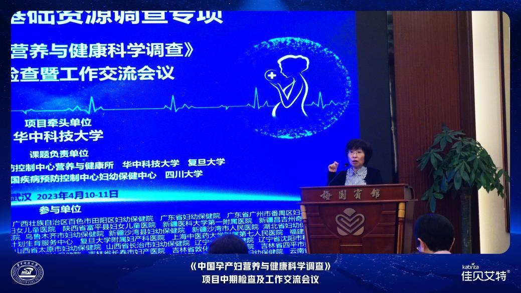 项目负责人、华中科技大学杨年红教授总结发言