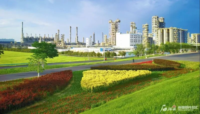 独山子石化公司化工新区种植有大量植被和乔灌木,美化厂区环境,助力