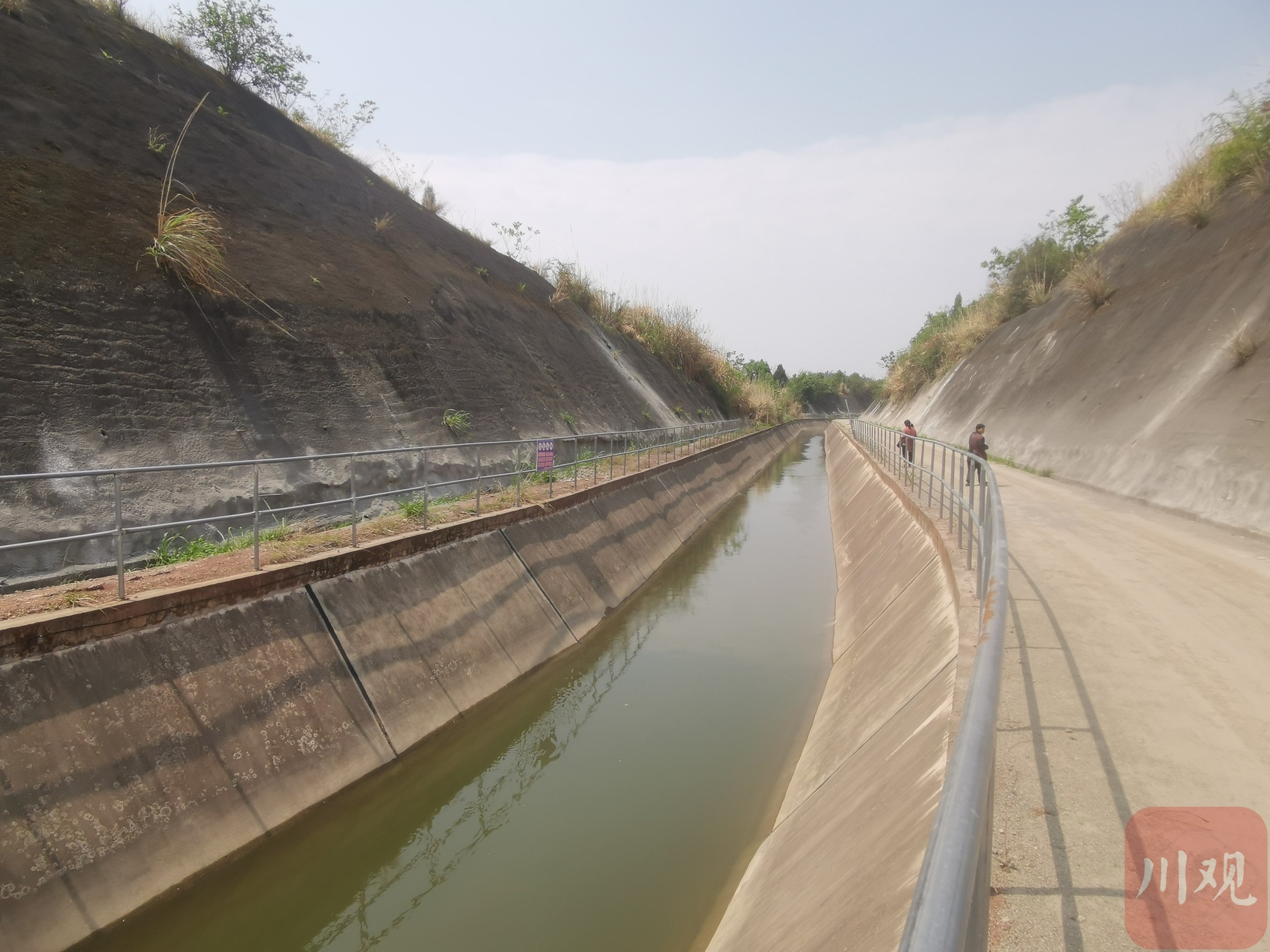 毗河供水一期工程首次实现向灌区大范围计划供水.邵明亮 摄