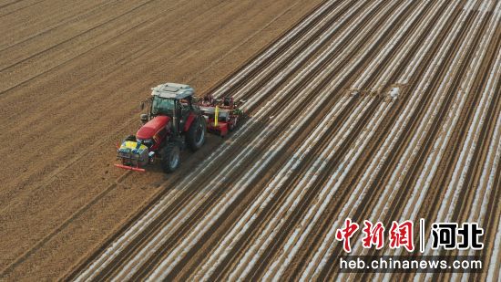 图为播种机正在田间作业。 牛春富 摄