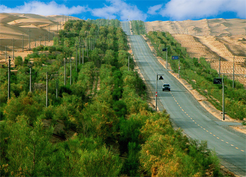 中国石油塔里木油田沙漠公路防护林