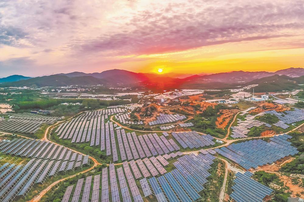 位于漳浦县赤土乡的农光互补集中式光伏项目 林杜鸿 摄