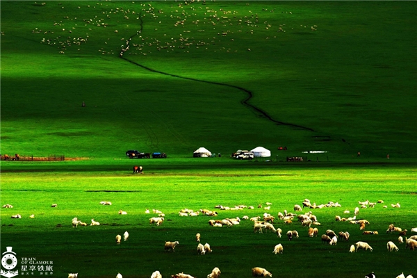 上左:在根河偶遇驯鹿 上右:越野车穿越草原森林 下图:草原天堂(作者涂绍春)