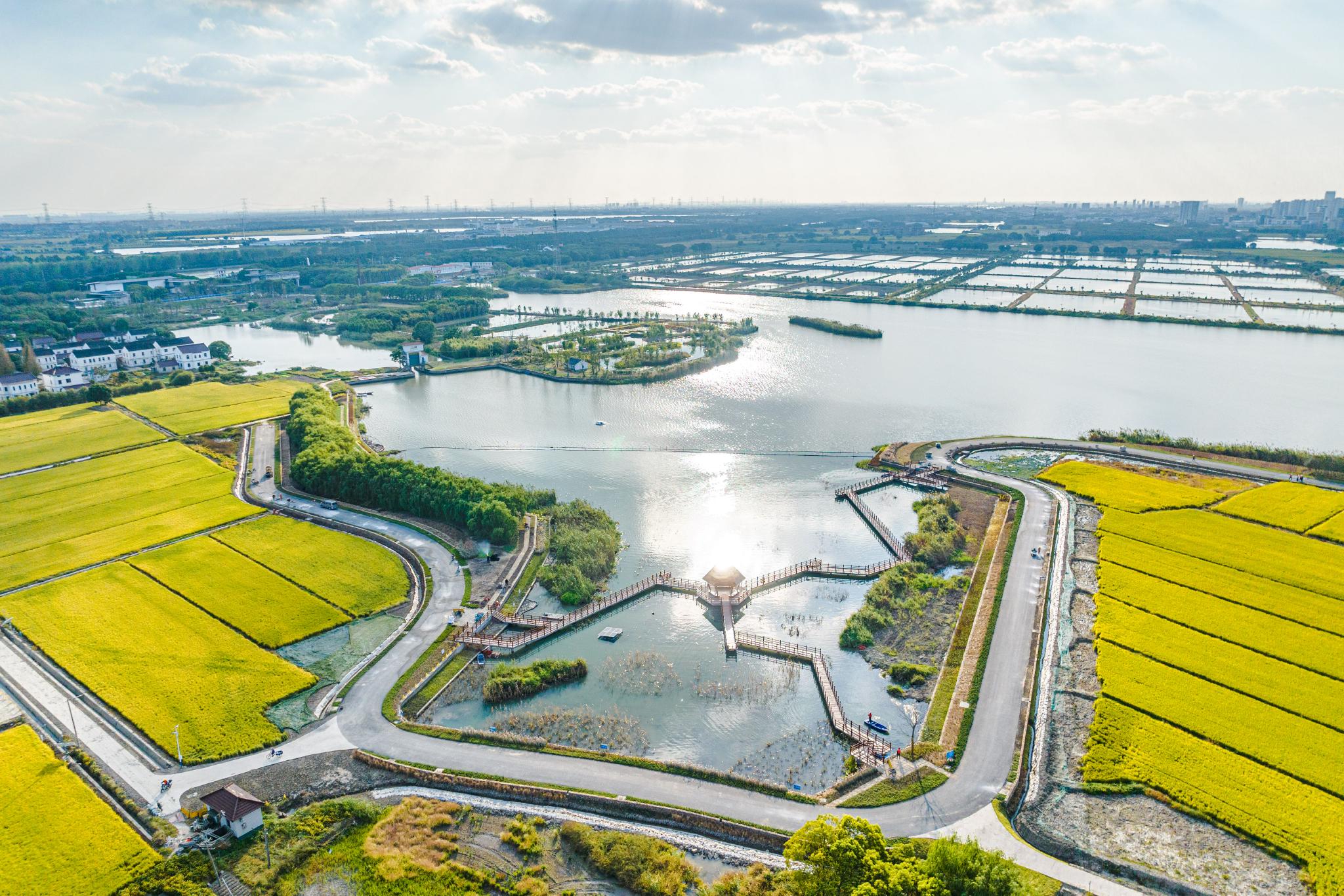 一河之隔处,西岑科创中心正热火朝天地建设着:东片区华为青浦研发中心