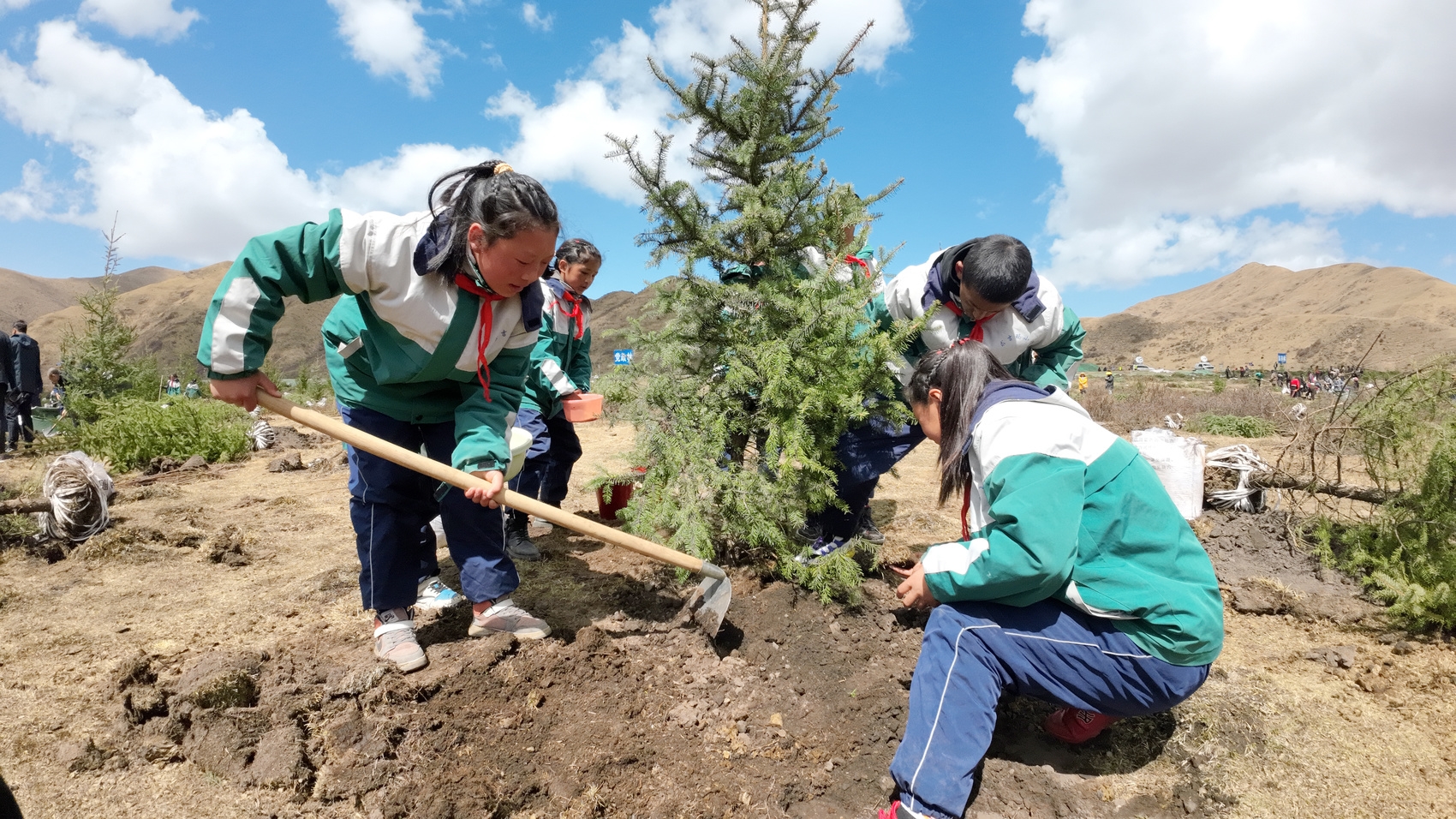 阿坝县求吉玛乡学生在黄河边植树种草. 银琪 摄