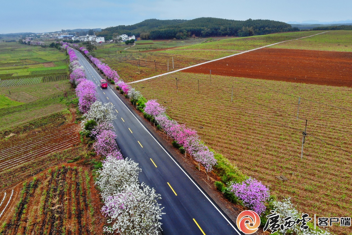 国道209线来宾市武宣县金鸡乡路段,国道357线柳州市融水县永乐镇路段