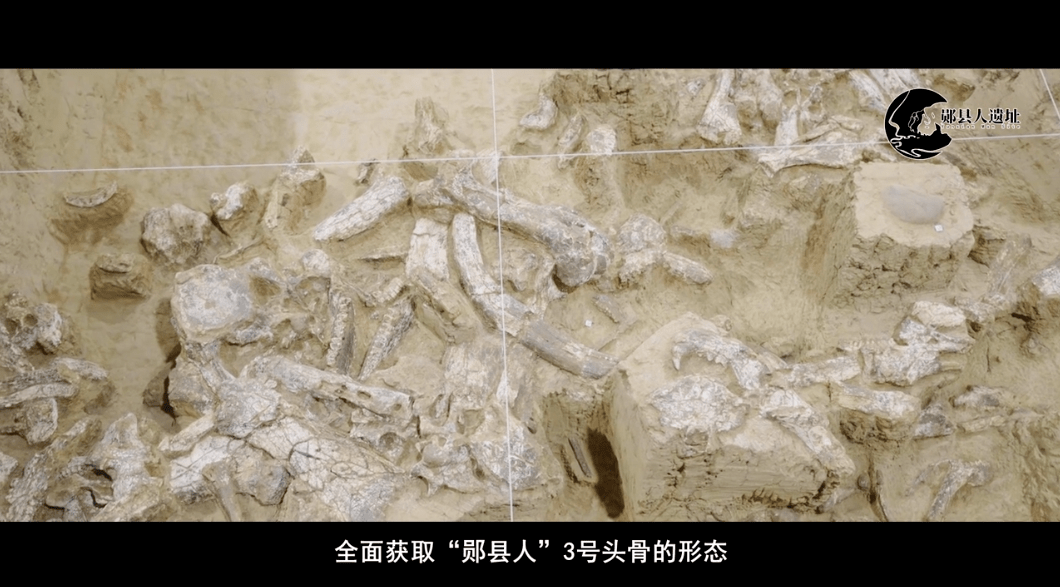 “郧县人” 3号头骨出土形态