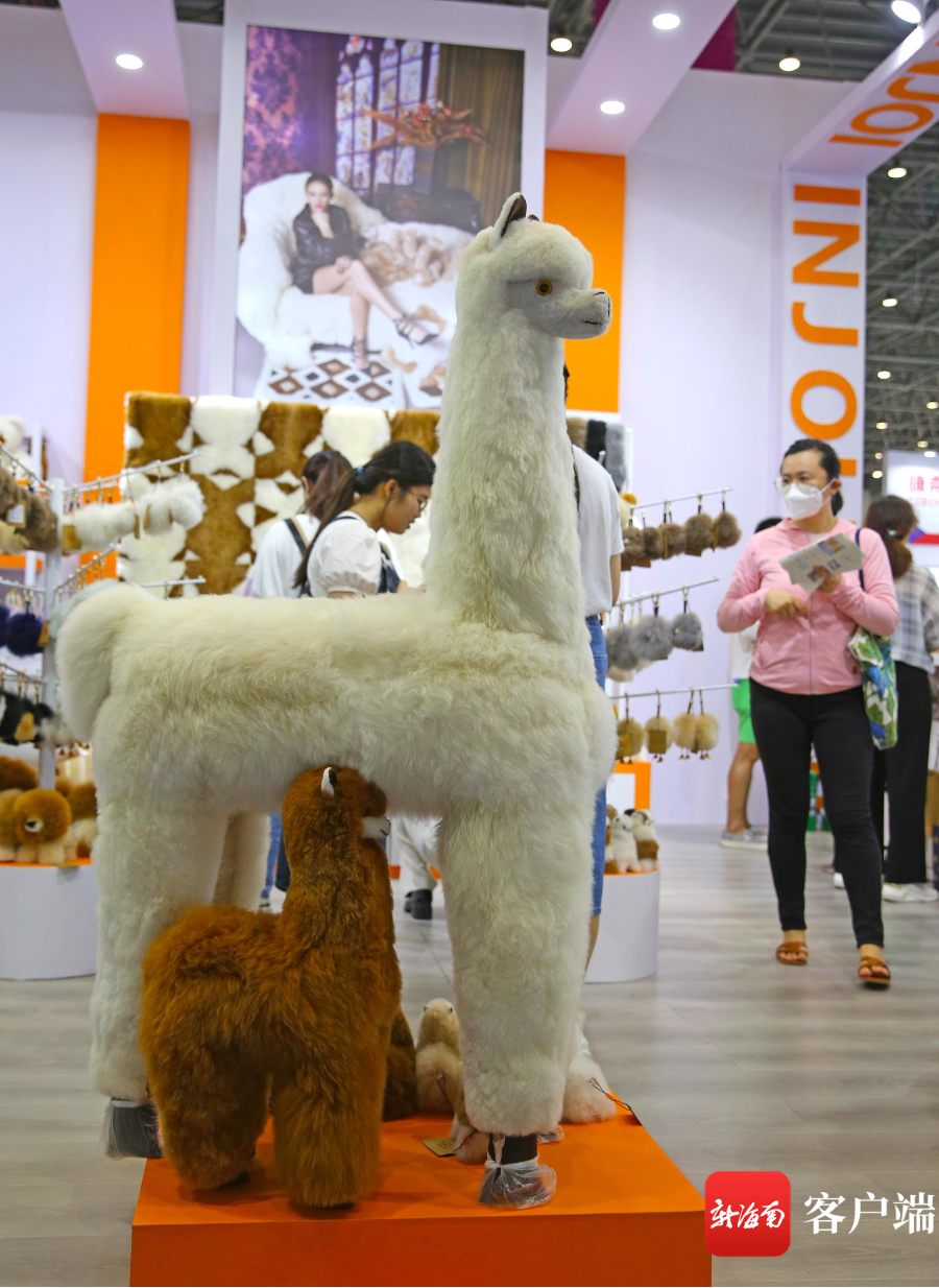 消博会上戴着墨镜的"羊驼"深受观众喜爱.记者汪承贤摄