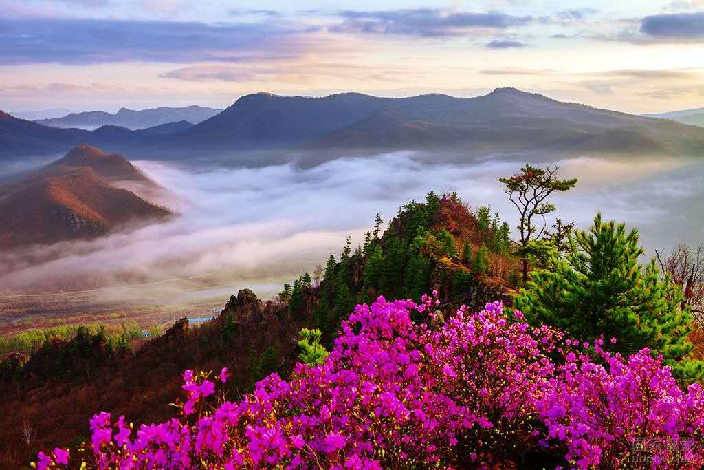 所有人限时免门票2023年伊春春季旅游这些景区优惠活动千万不要错过