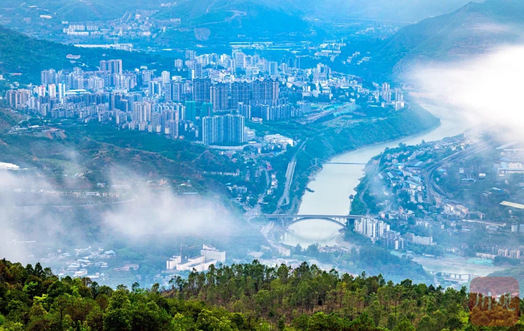 攀枝花绿意盎然.刘家成 摄