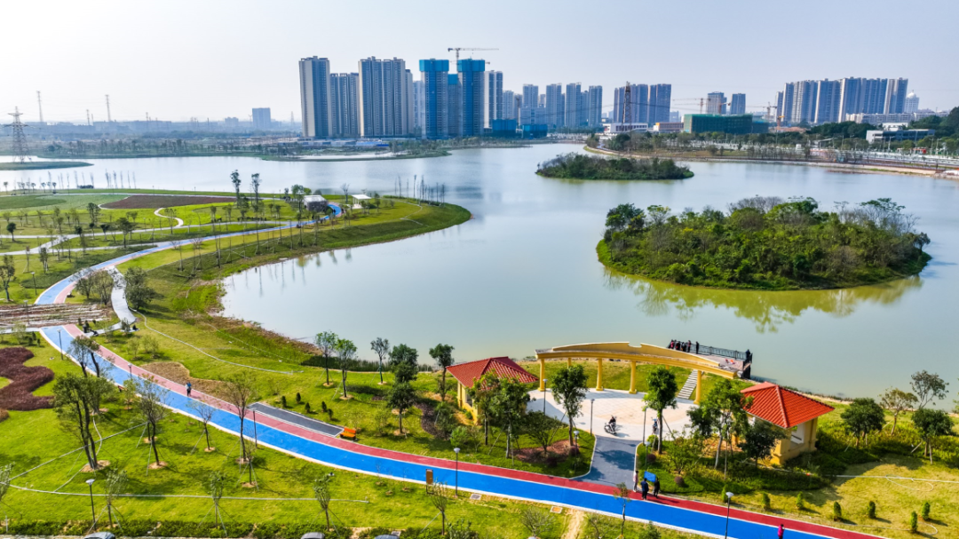 位于肇庆高新区的麒麟湖公园.王振宇 摄