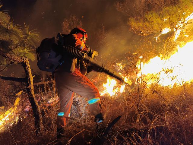 火灾扑救现场. 大理州森林消防支队供图