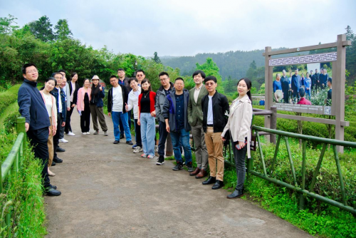 关注聚力青年茶人践行三茶统筹交流活动成功举办