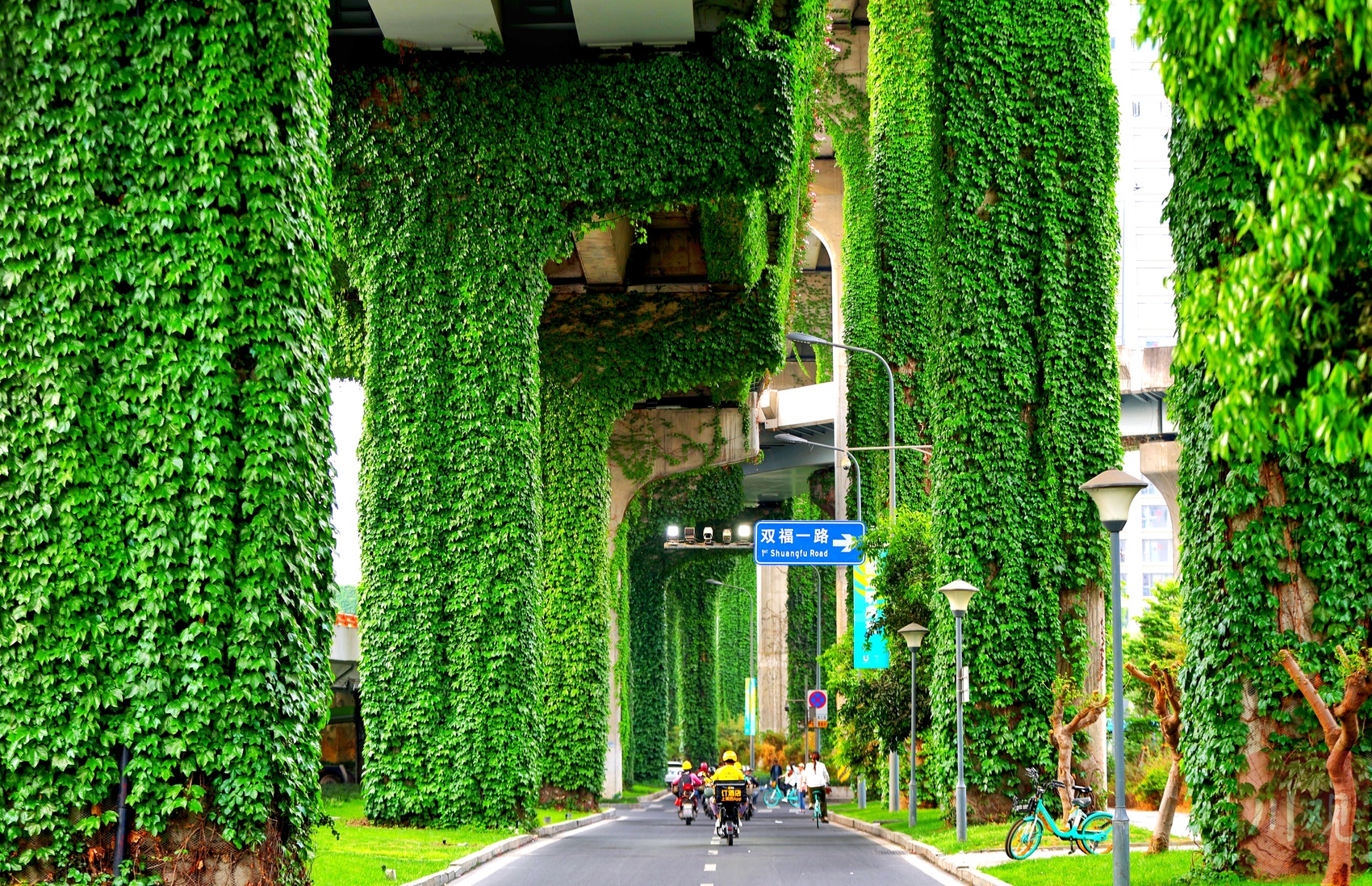 爬满绿植的二环高架桥成了靓丽风景