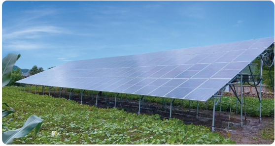 创维光伏在辽宁省阜新市落地的“向阳院”