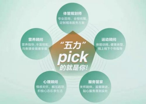 （绿瘦“五力合一”服务模式）