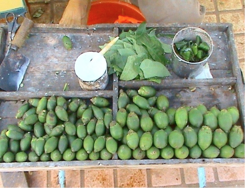 在中国,主要是海南和台湾两地产出槟榔,当地人能够吃到新鲜的槟榔.